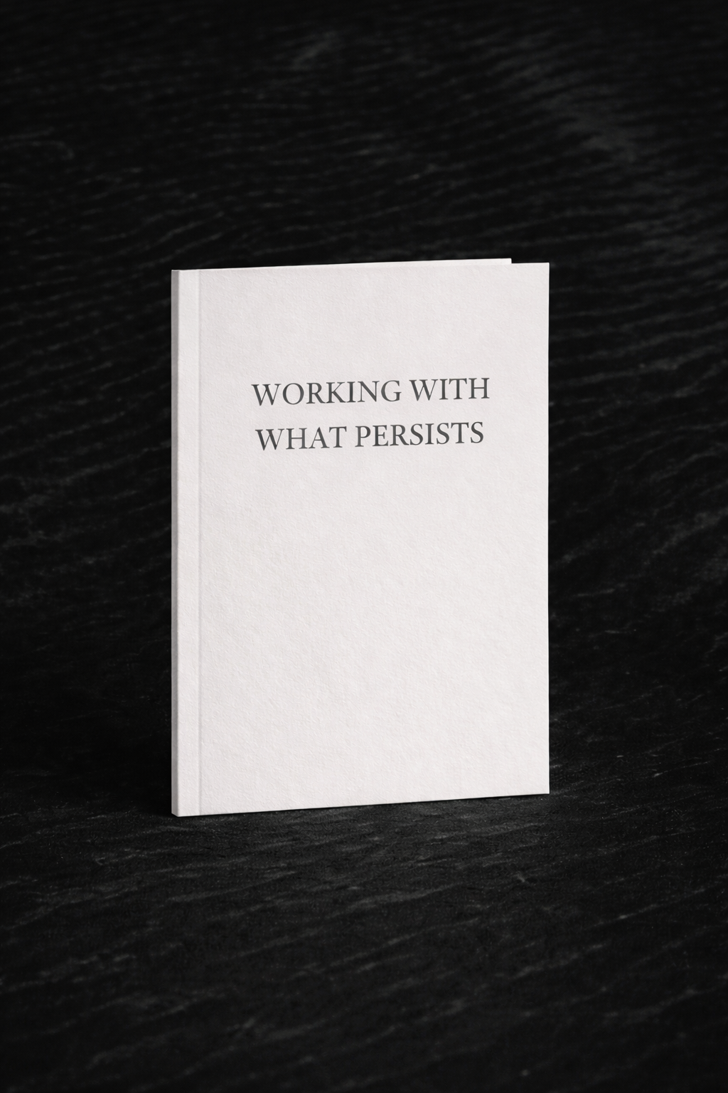 Working With What Persists